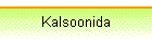 Kalsoonida