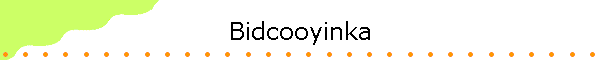 Bidcooyinka