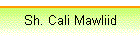 Sh. Cali Mawliid